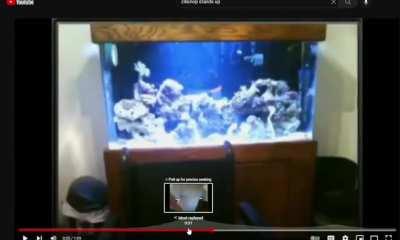 Garbage Pale Kids sample check?