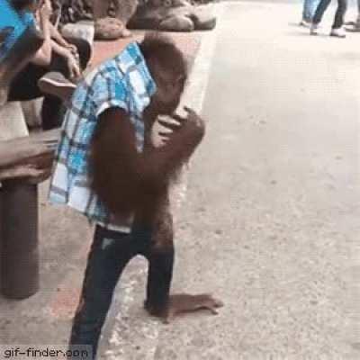 moke cant be wimp with da bois