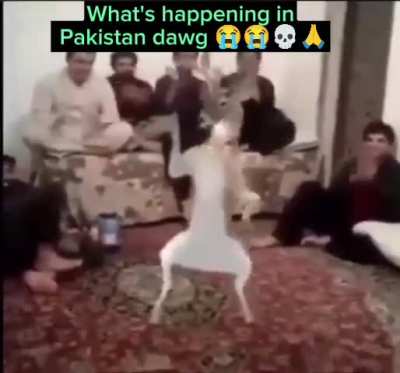 Pakistan seems like a fun country