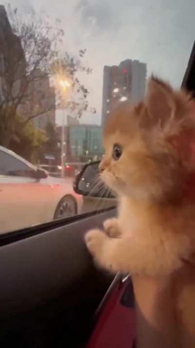 An operative conducts external observation