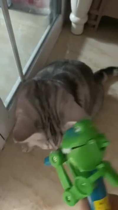 Stupid candy monster