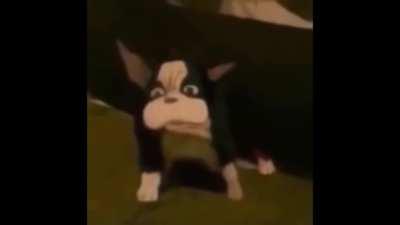 Iggy get get out of there he is still vibing!!!