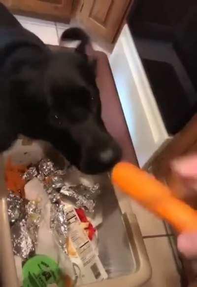 incredibly helpful and conscientious doggo ensuring nothing goes to waste :D