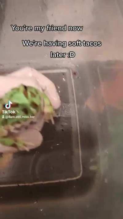 Your new friend's name is Frodo!