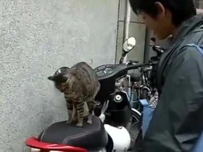 Guy finds out his moped has been commandeered for a much more important purpose