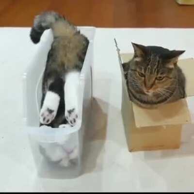 Event if I don't fit