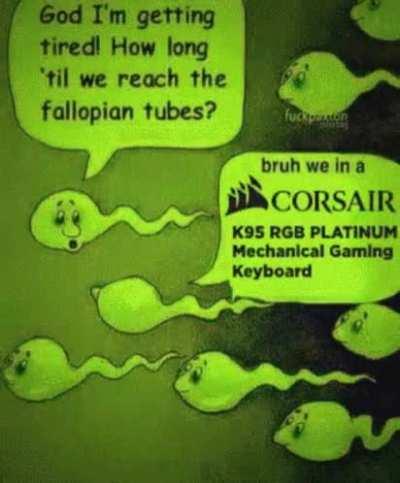 For the Gamer Virgins