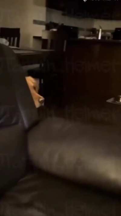 They're eating dogs!!!