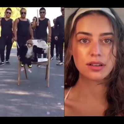 Kız, karizmatik monkenin yakışıklılığına hayran kalıyor Pog