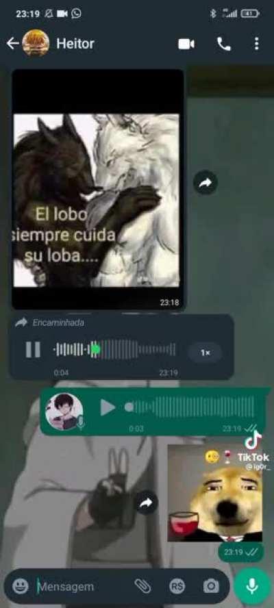 El lobo siempre cuida su loba