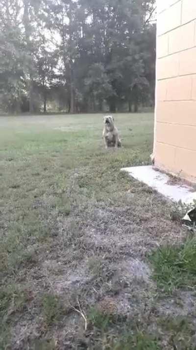 Rama is so extra 😂