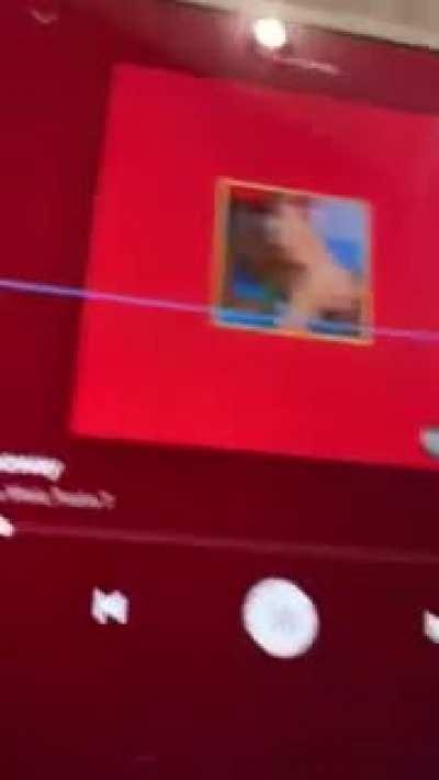 it was 3 AM and I decided to do this instead of going to sleep earlier