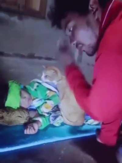 Kitty doing a concern and fever check