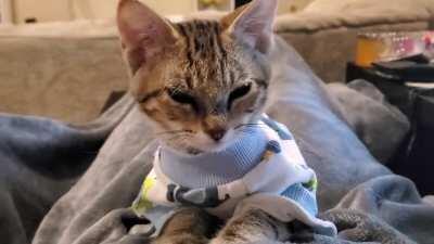 Kneady foster baby in her onesie. I don't know how I'm going to let her leave me.