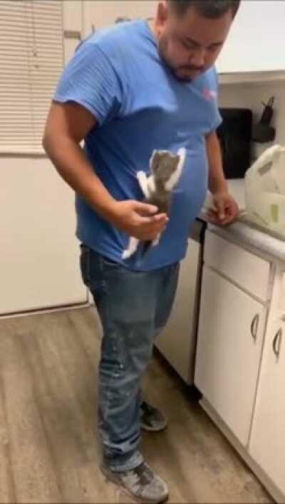 Here's an illegally smoll cat to make ur day