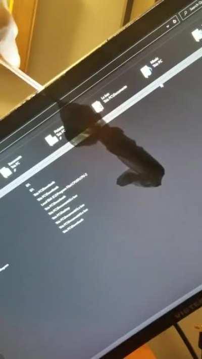 Make sure to clean the inside of your monitor!!!