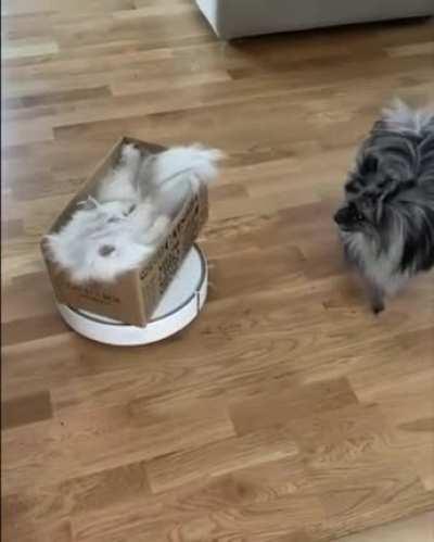 До чего дошёл прогресс...