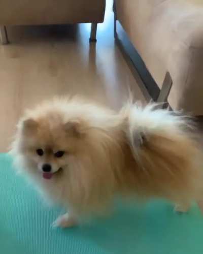 Weekend yoga stretch after a busy week from mr.siggi on instagram