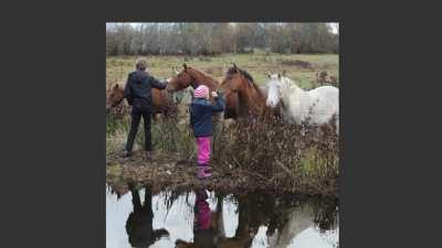 Trying out the new generative fill feature in Photoshop Beta