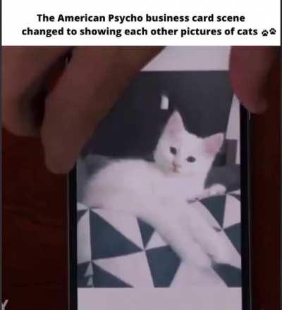American Psycho and cats 😂