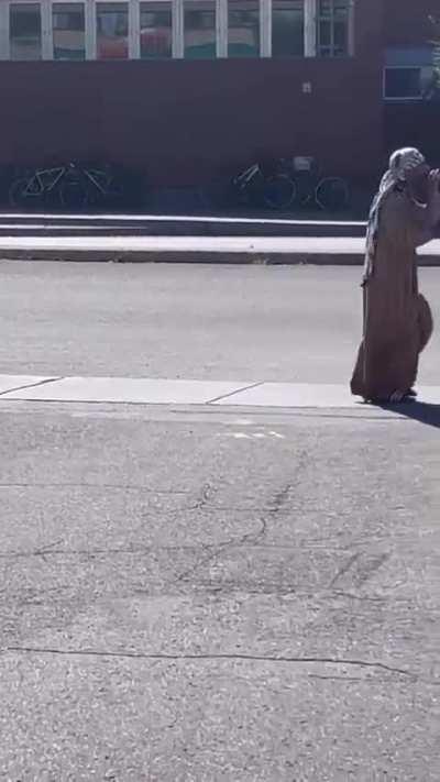 Normal day around here