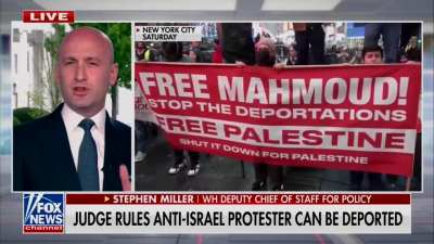 Stephen miller gets a bit worked up on Fox News