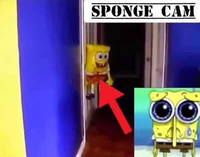 Spunch, hes bowlune.