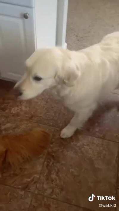 You don’t just eat Kiko’s chewy and get away with it