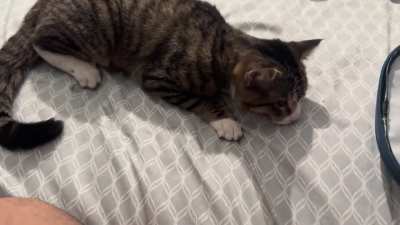 Please help, our baby is not himself