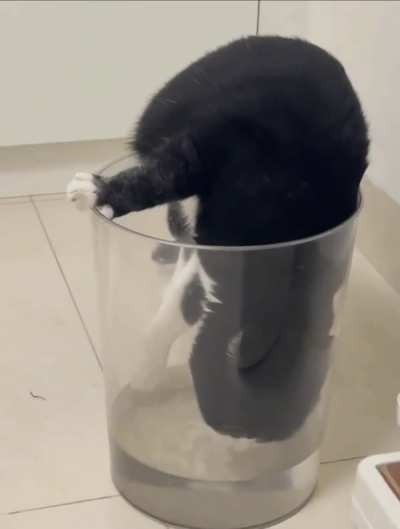 Best caption wins 😂