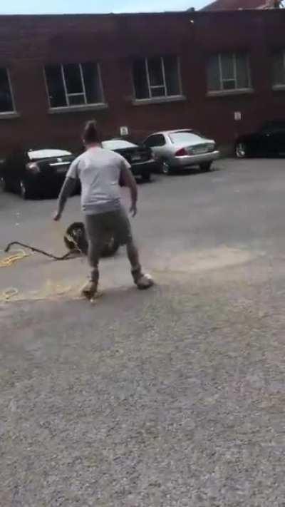 ♪♫ like the Segway Cowboys...