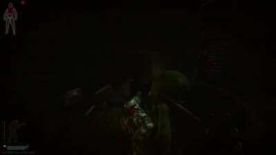 This is what peak performance looks like