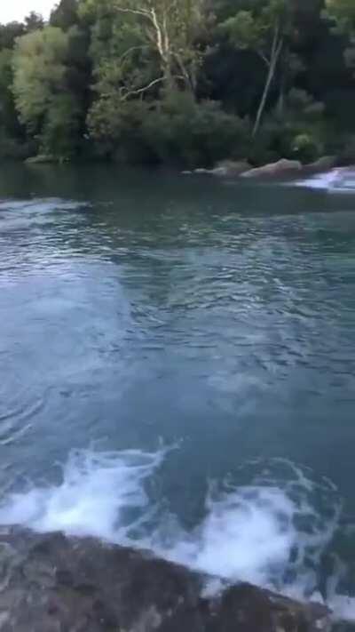 I will never do that