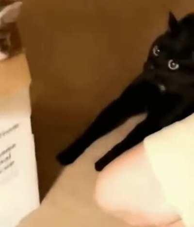 What the hell is that?!?