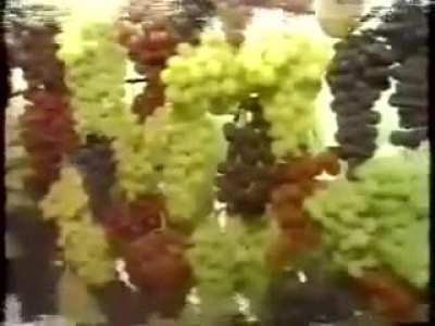 How do you explain this.