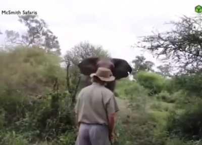 Shit, that would take balls