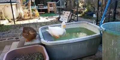 When you wanna take a bath...