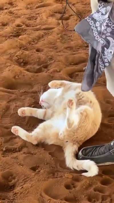 Slacking off at work 🍊