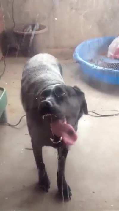 hElLhOuNd TrIeS tO aTtAcK iNnOcEnT hUmAn