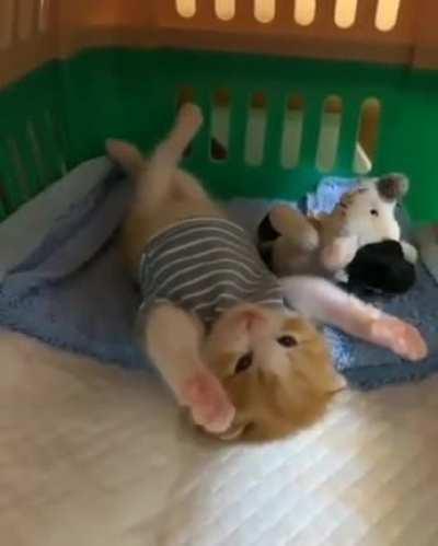 Have to wake up now.