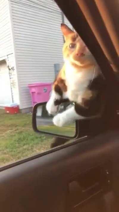 What have I done....