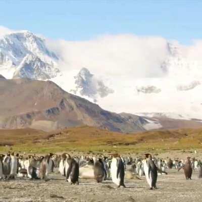 The best kind of photobomb