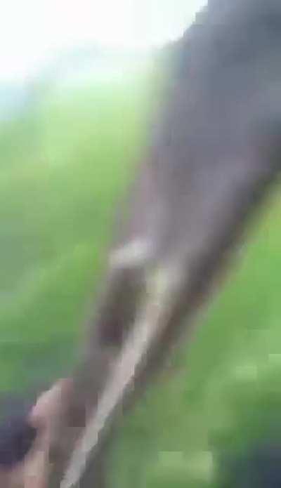 Most mentally stable polaks 💪🤪🇵🇱