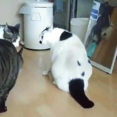 Blessed are the peacemakers