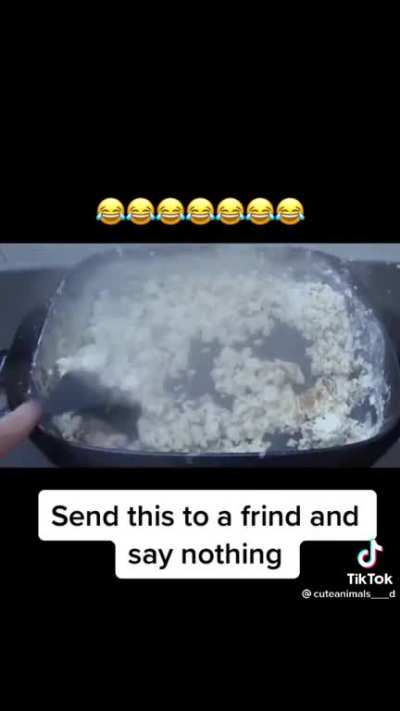 jakertown - Video #2794