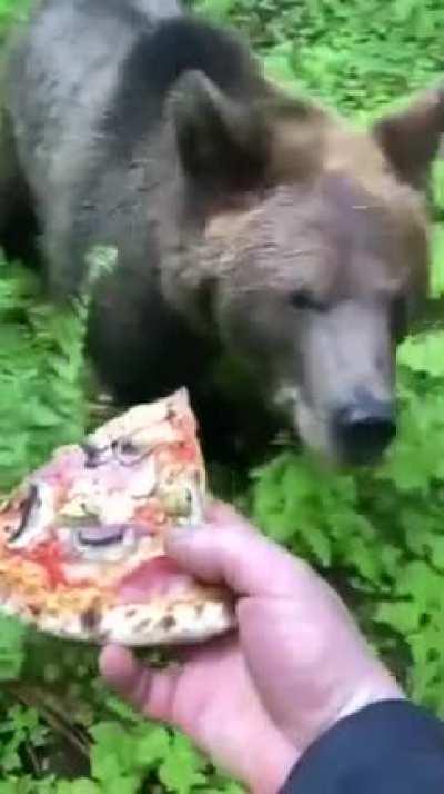 Luckiest escape from the bear, man on the verge of death