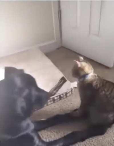 Growing old together.