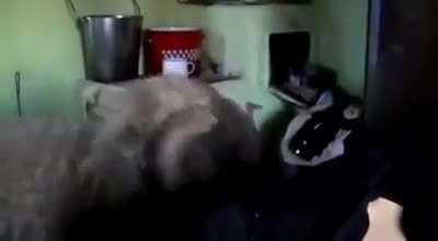 Romanian tourism board releases new video for translvania plz com visit we are civlized and not gypsy I promise👍👍👍👍👍🇭🇺🤝🇷🇴