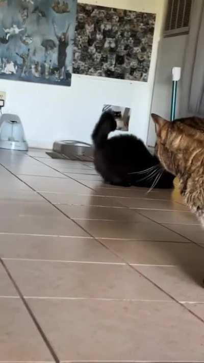 What's wrong with him..?