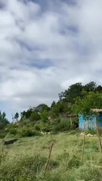 Eastern Africans are a hidden gem. Shaah iyo Sheeko (Tea & Talk) in Daalo Sanaag, Somali